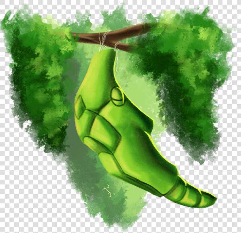 011 Metapod By Feh   Metapod Fan Art  HD Png DownloadTransparent PNG