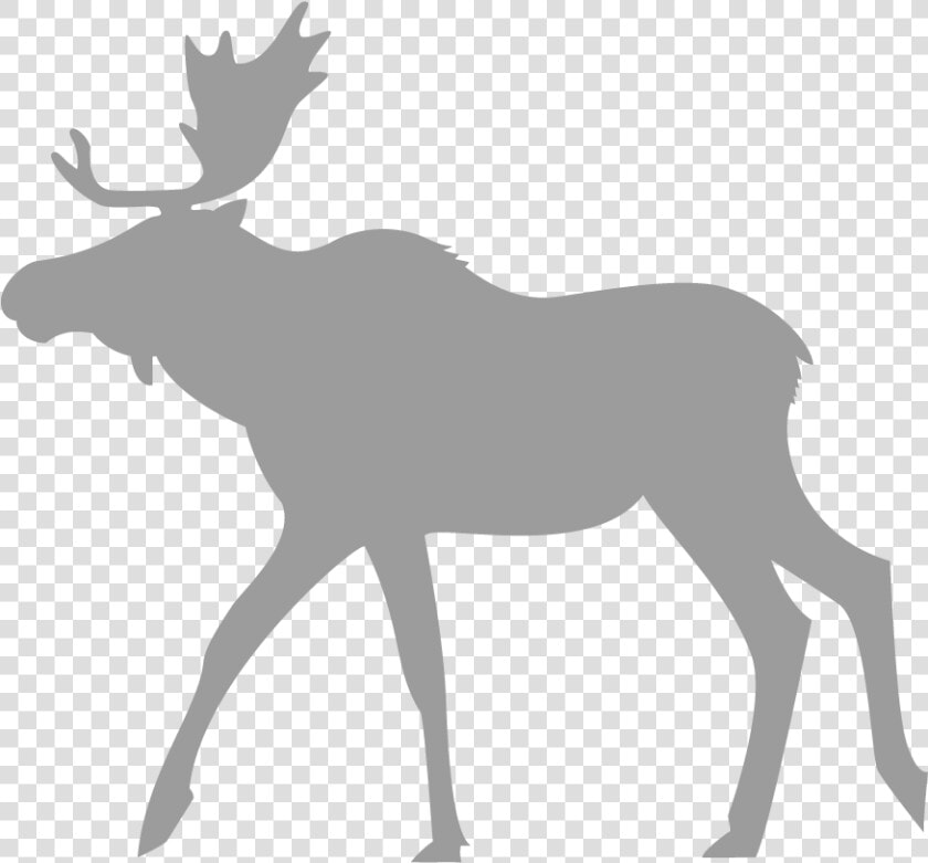 Moose To Trace  HD Png DownloadTransparent PNG