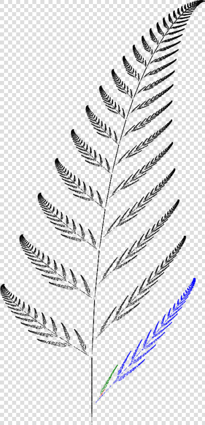 Barnsley Fern Funktion4   Barnsley Kapradi  HD Png DownloadTransparent PNG