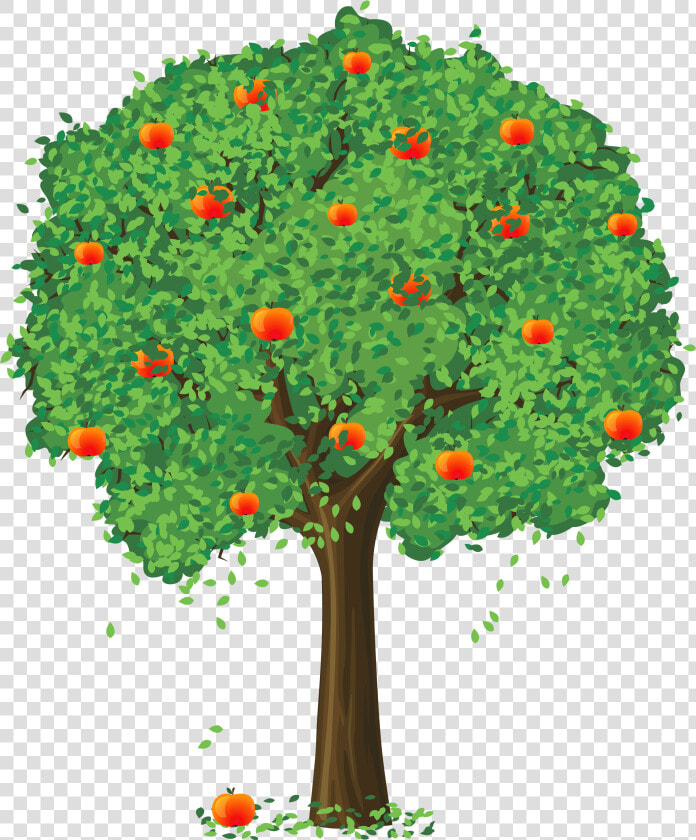 Apple Tree Image   Apple Tree Clipart Png  Transparent PngTransparent PNG