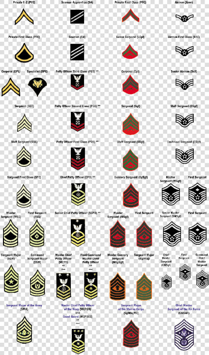 Clip Art Army Enlisted Insignia   Navy Specialist Rank  HD Png DownloadTransparent PNG