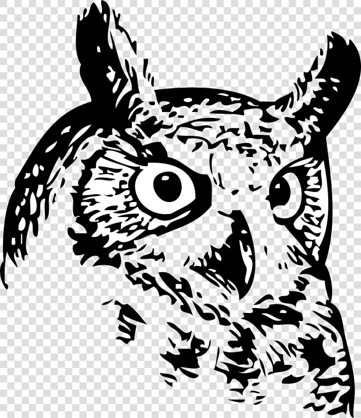 Owl Drawings Of Owl S Face   Hughes Owls  HD Png DownloadTransparent PNG