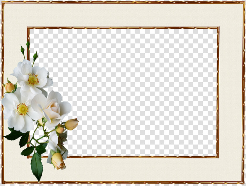 Frame  Gold Edge  White Rose   White Roses Gold Frame  HD Png DownloadTransparent PNG