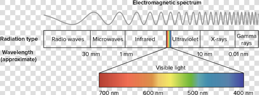 Wavelengths Of Light  HD Png DownloadTransparent PNG