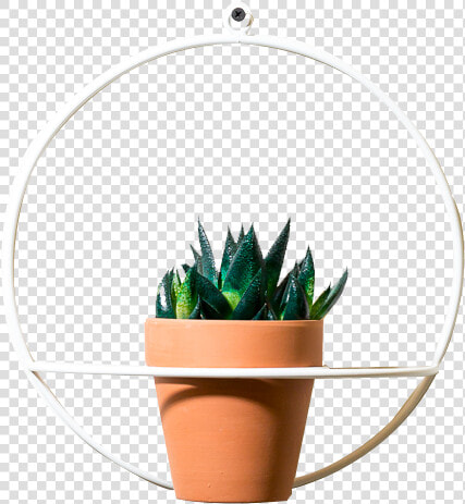 Image  1   1    Flowerpot  HD Png DownloadTransparent PNG