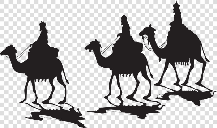 Dromedary Silhouette Clip Art   Transparent Three Wise Men Png  Png DownloadTransparent PNG