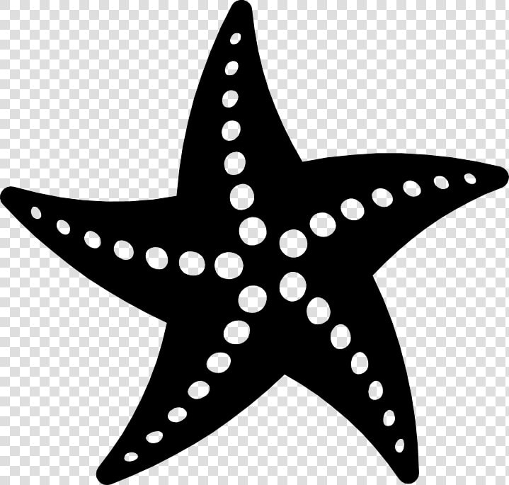 Png Starfish Black And White Transparent Starfish Black   Black Starfish Png  Png DownloadTransparent PNG