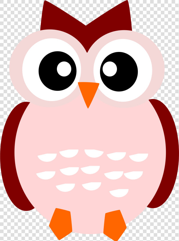 Hannah Mitchell High Quality   Cute Owl Icon Png  Transparent PngTransparent PNG