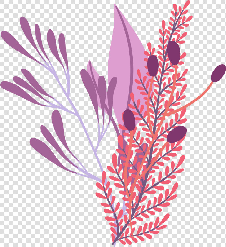 矢量卡通艺术植物装饰插画   Grevillea  HD Png DownloadTransparent PNG