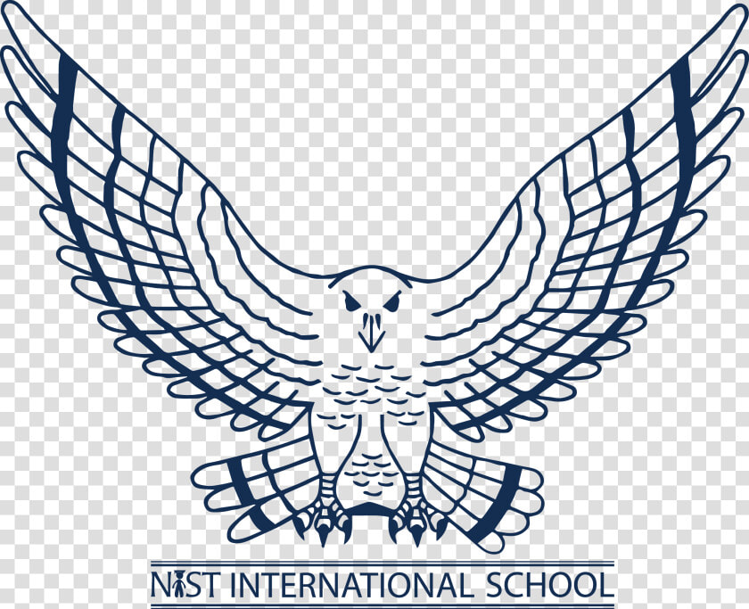 Nist International School Falcons  HD Png DownloadTransparent PNG