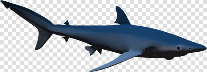 Hammerhead Shark Clip Art   3d Shark Png  Transparent PngTransparent PNG