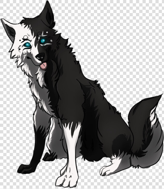 Dog Breed Black Wolf Pack Wolfdog Arctic Wolf   White Wolf With Black Paws  HD Png DownloadTransparent PNG