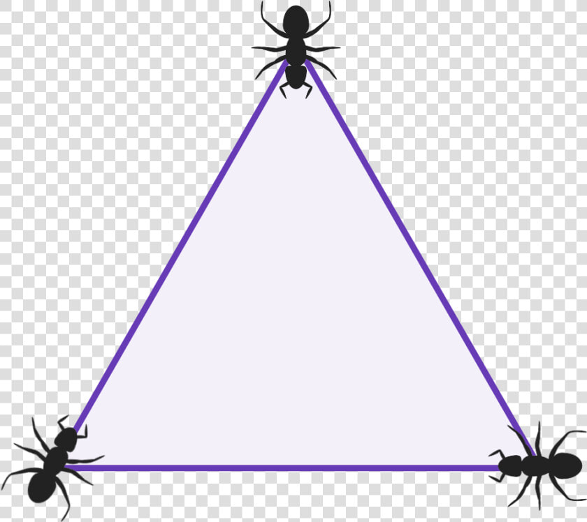 Diagram Of A Triangle With 3 Ants Sat One At Each Vertex   Triangle  HD Png DownloadTransparent PNG