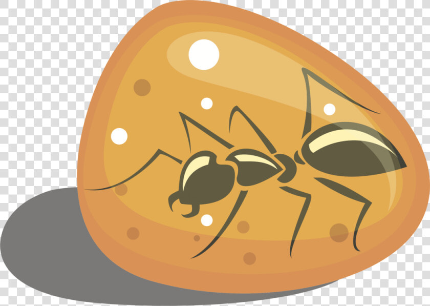 Invertebrate food fruit   Bug In Amber Clip Art  HD Png DownloadTransparent PNG