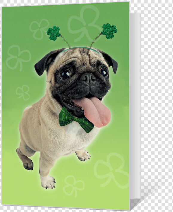 Pugs And Kisses Printable   Pug  HD Png DownloadTransparent PNG