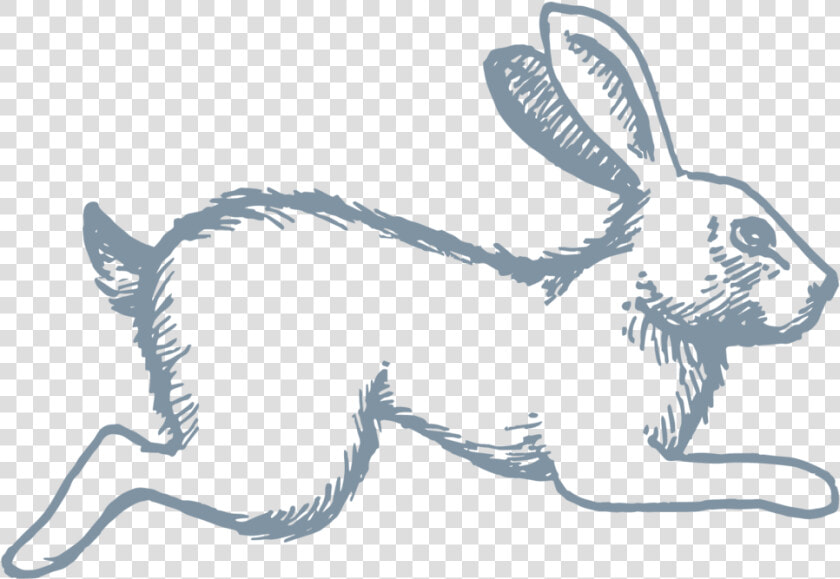 Celeste Icon Rabbit   Antelope Jackrabbit  HD Png DownloadTransparent PNG