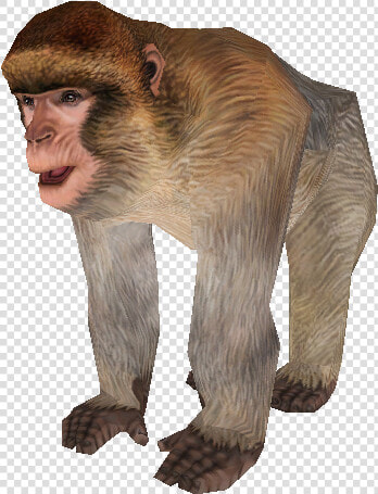 Download Zip Archive   Zoo Tycoon 2 Barbary Ape  HD Png DownloadTransparent PNG