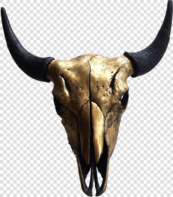 Gold Bison Skull  HD Png DownloadTransparent PNG