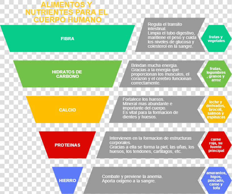 Importance Of Marketing Funnel  HD Png DownloadTransparent PNG