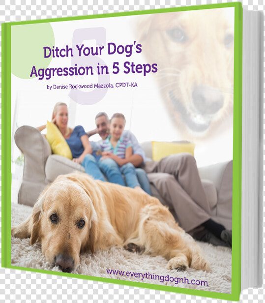 Ditch Your Dog S Aggression   Gassy Dog  HD Png DownloadTransparent PNG