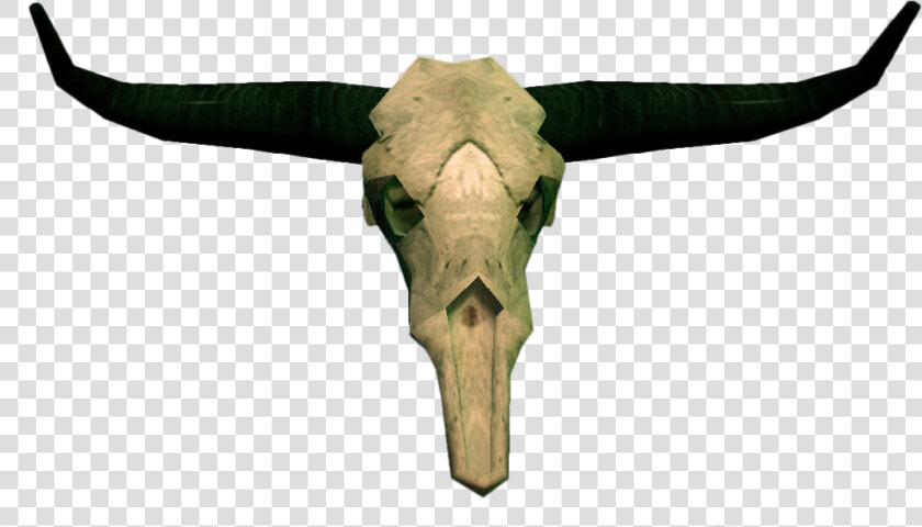 Cow Skull Png   Bull Skull Png  Transparent PngTransparent PNG