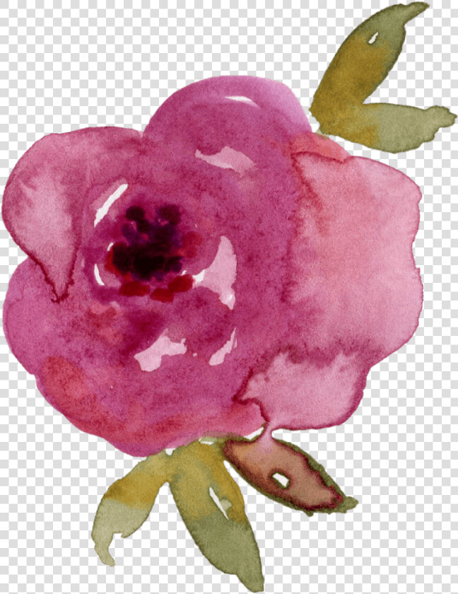 中国风荷花水彩画   Impatiens  HD Png DownloadTransparent PNG