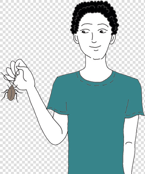 Roach   Cockroach   Cockroach With Black Hair  HD Png DownloadTransparent PNG