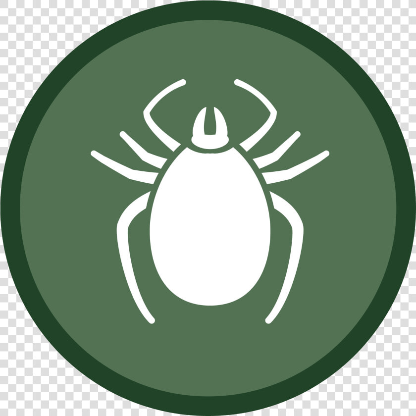 Tick Icon 02   Vacuum Ticks Icon Png  Transparent PngTransparent PNG