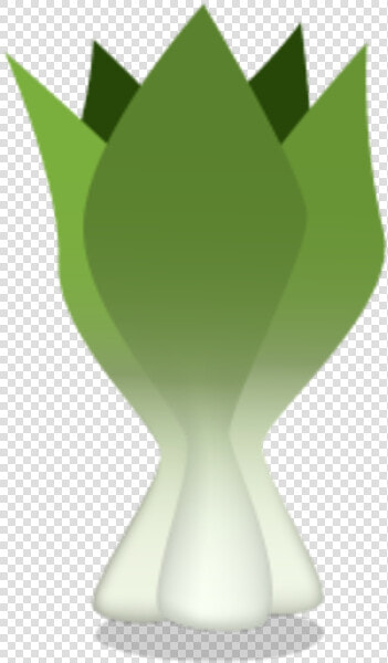 Bok Choy  HD Png DownloadTransparent PNG