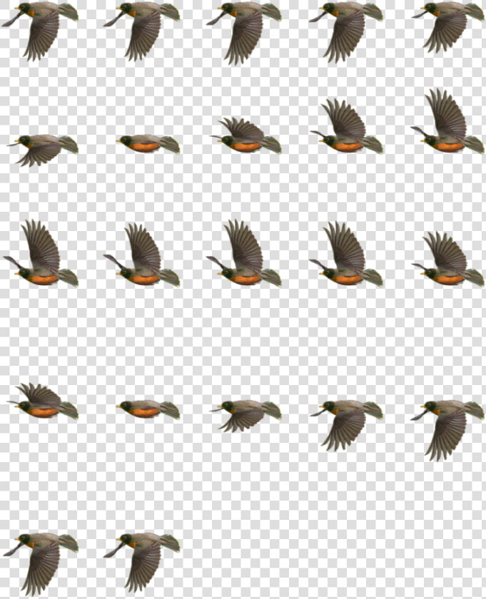 Return Of The Animated Gif   2d Bird Flying Animation  HD Png DownloadTransparent PNG