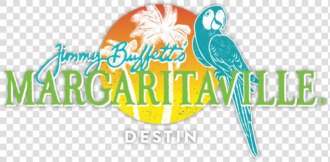 Margaritaville  HD Png DownloadTransparent PNG