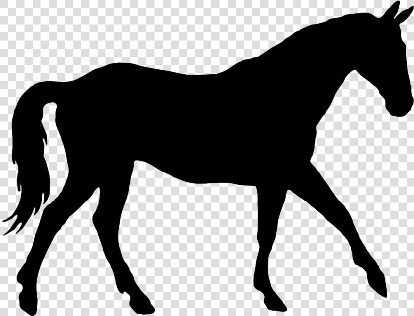 Silhouette Of Elegant Horse   Trotting Horse Silhouette  HD Png DownloadTransparent PNG