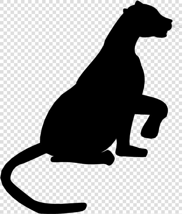 Cat Dog Clip Art Mammal Canidae   Illustration  HD Png DownloadTransparent PNG