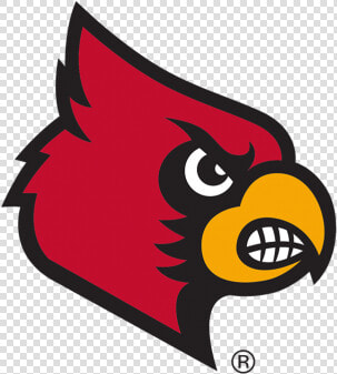 Louisville Cardinals Cards Or Cats   Louisville Cardinals  HD Png DownloadTransparent PNG