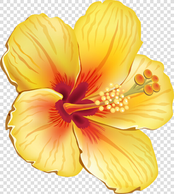  hibiscus  flower  hawaiian  yellow  summer  tropical   Hawaiian Tropical Flowers Png  Transparent PngTransparent PNG