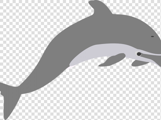 Clip Art Royalty Free Clipart Of Dolphins Jumping   Dolphin Clip Art  HD Png DownloadTransparent PNG