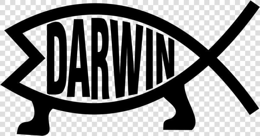 Darwin Evolution Clip Arts   Reptile  HD Png DownloadTransparent PNG