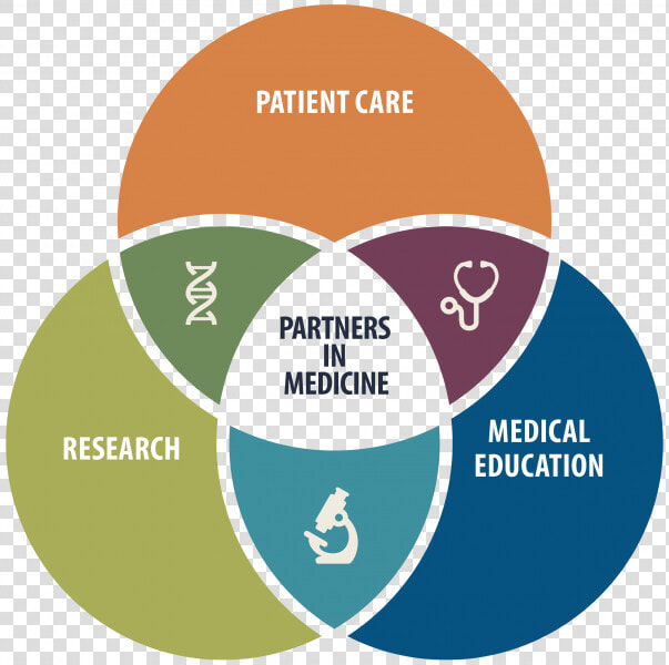 Uf Health Partners In Medicine Venn Diagram Overlapping   Awareness Attitude Usage Model  HD Png DownloadTransparent PNG