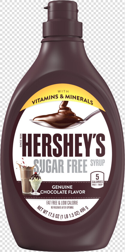 Syrup Clipart Hershey S   Hersheys Chocolate Syrup No Background  HD Png DownloadTransparent PNG