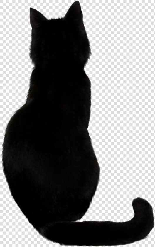 Black Cat Kitten Drawing   Black Cat Vector Png  Transparent PngTransparent PNG