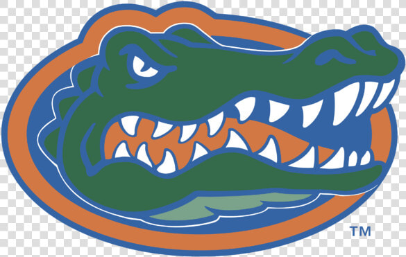 University Of Florida Gainesville Mascot  HD Png DownloadTransparent PNG