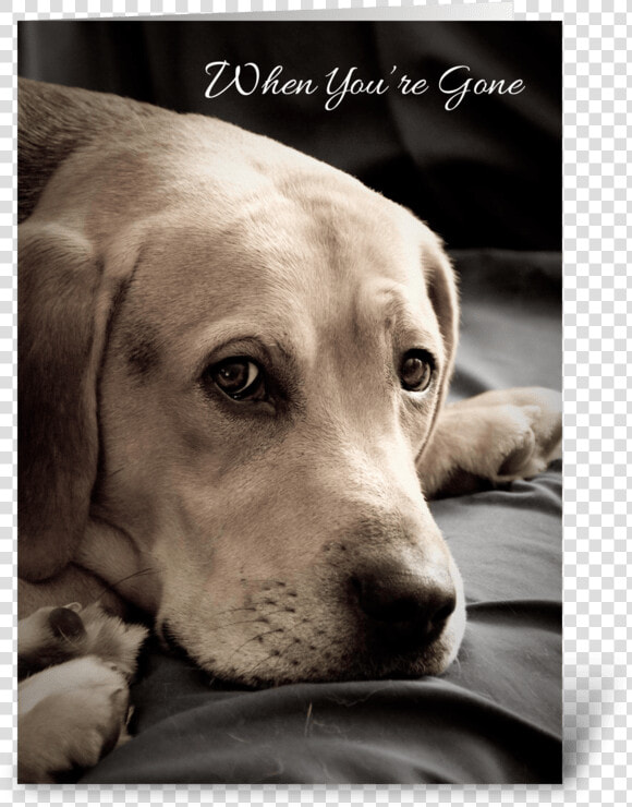 Missing You Sad Dog Greeting Card   Dog With Missing You  HD Png DownloadTransparent PNG