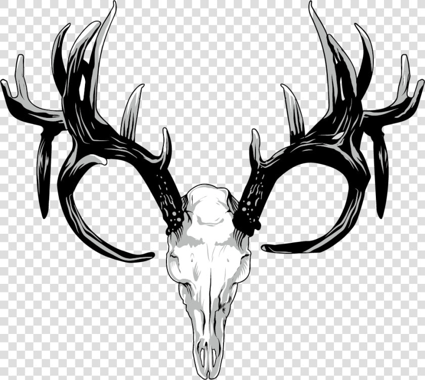 Transparent Deer Antler Clip Art   Deer Antlers Png Transparent  Png DownloadTransparent PNG