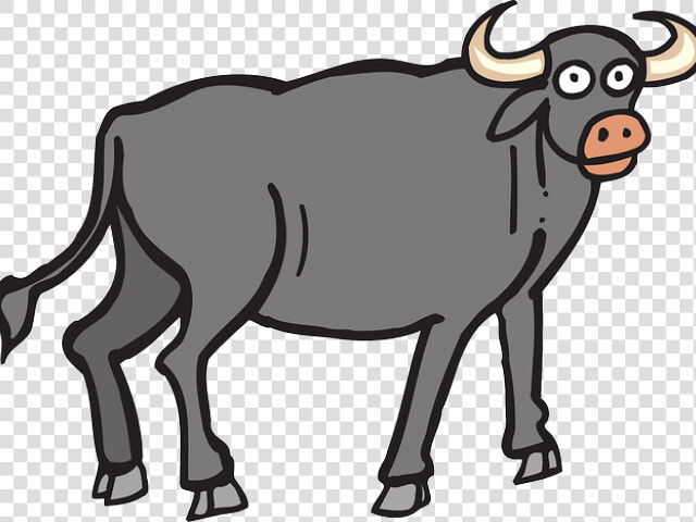 Download Ox Buffalo Png   Buffalo Clipart  Transparent PngTransparent PNG