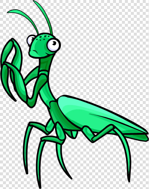 Transparent Praying Clipart   Praying Mantis Clipart Png  Png DownloadTransparent PNG