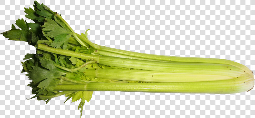 Celery Transparent One Piece   Png Celery  Png DownloadTransparent PNG