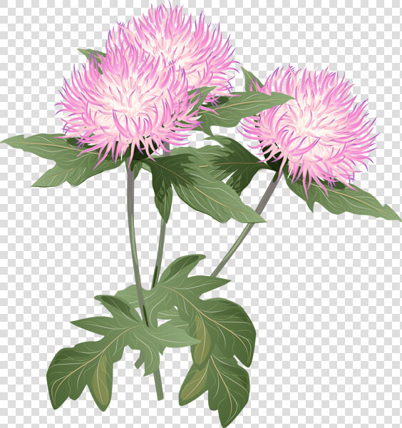 Thistle Flower Clipart  HD Png DownloadTransparent PNG