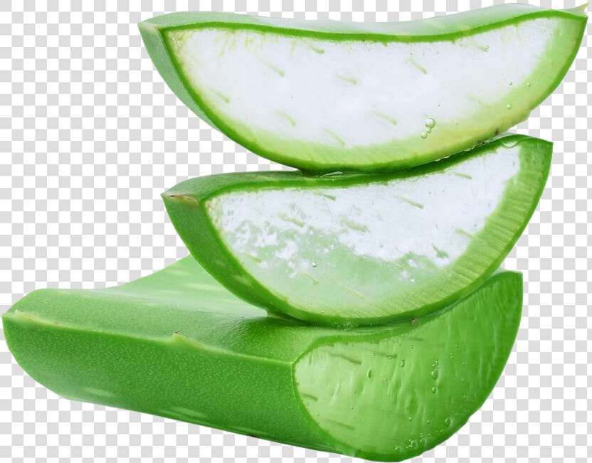 Aloe Vera Png Download Image   Aloe Vera Gel Png  Transparent PngTransparent PNG