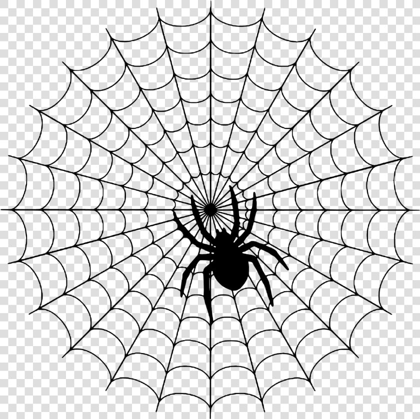 Day A Simple Web   Spider On A Web  HD Png DownloadTransparent PNG