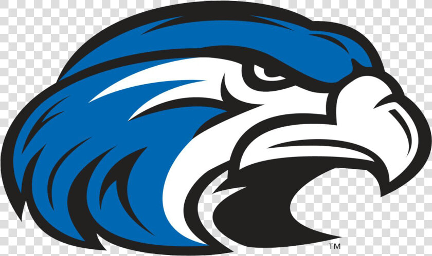 Shorter Hawks   Shorter University Athletics Logo  HD Png DownloadTransparent PNG